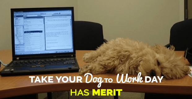 Take Your Dog To Work Day